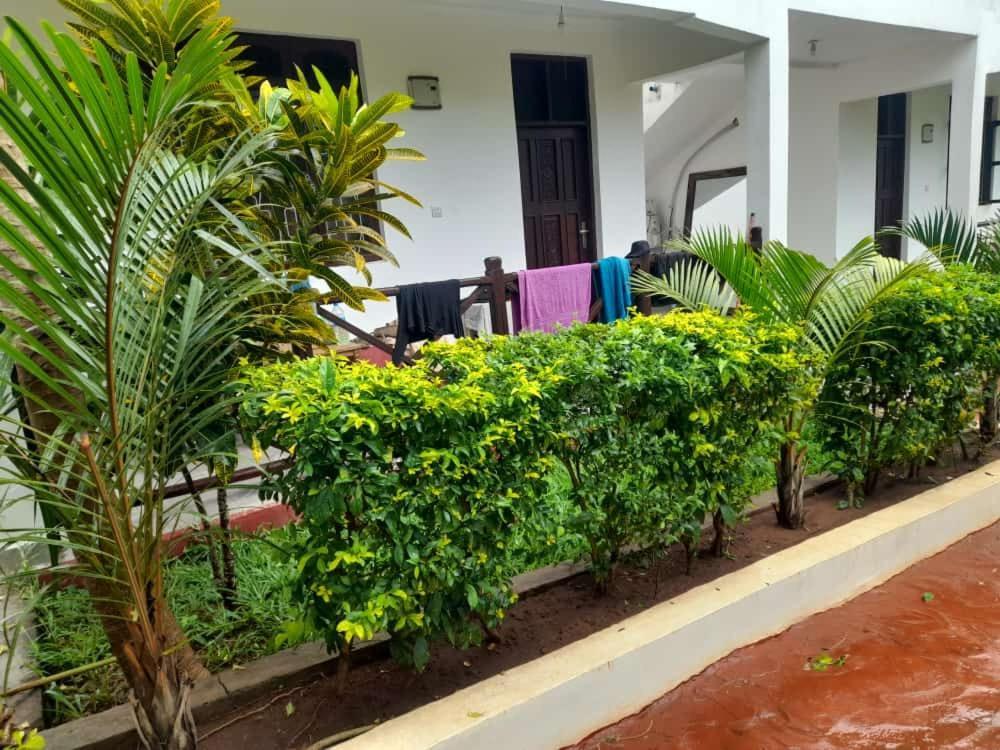 Majani Breeze Villa Nungwi Exterior foto