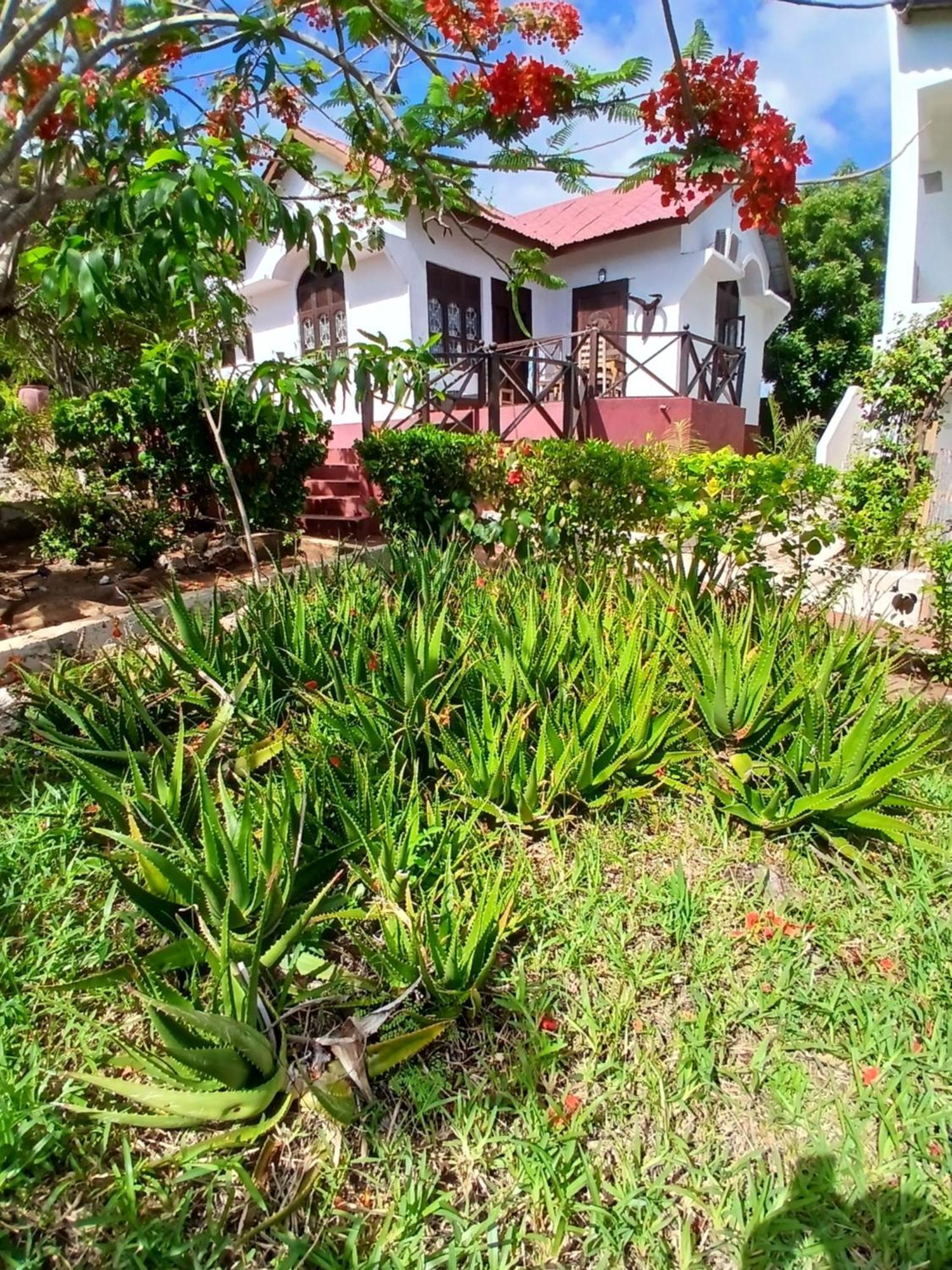 Majani Breeze Villa Nungwi Exterior foto