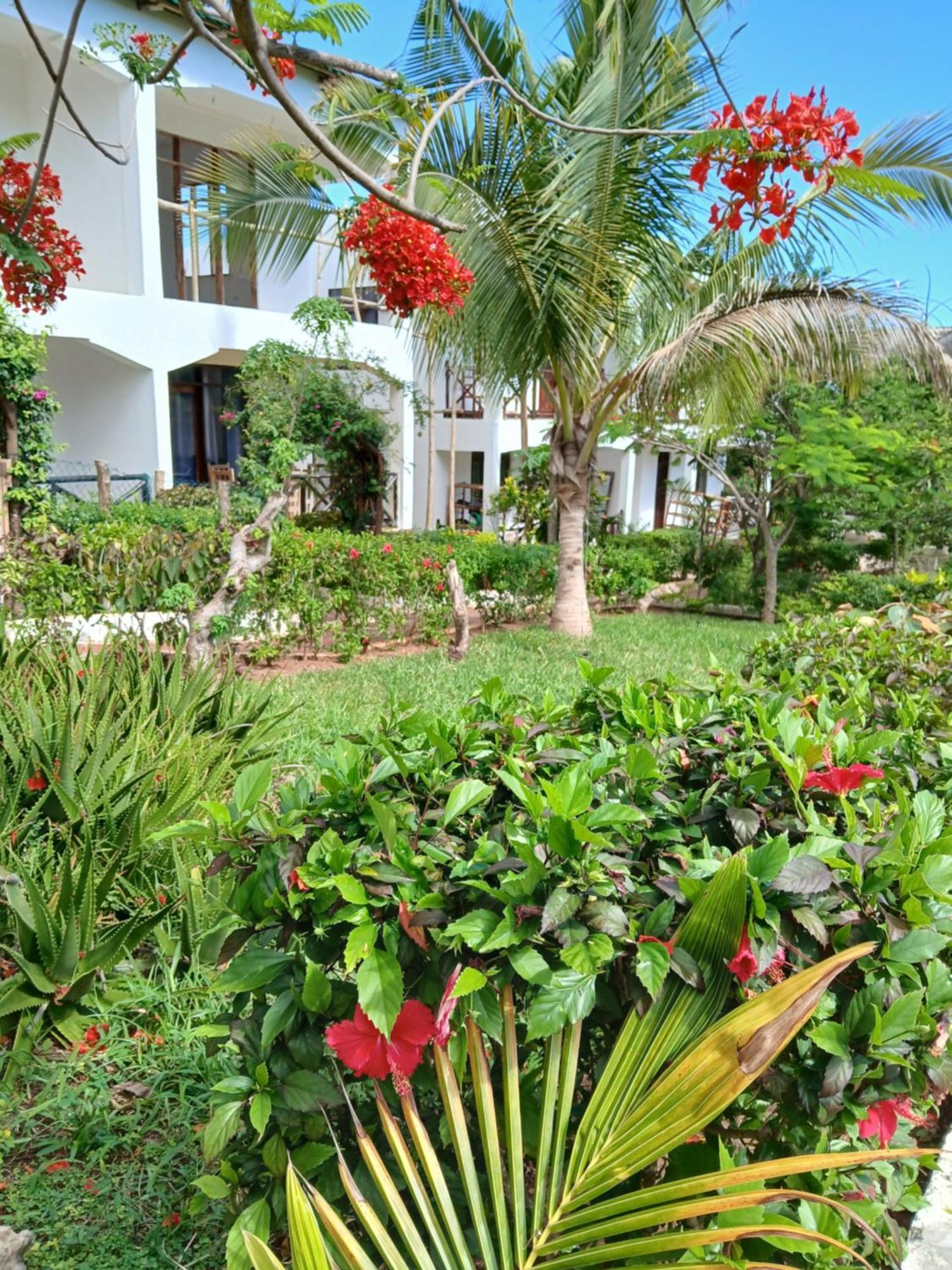 Majani Breeze Villa Nungwi Exterior foto
