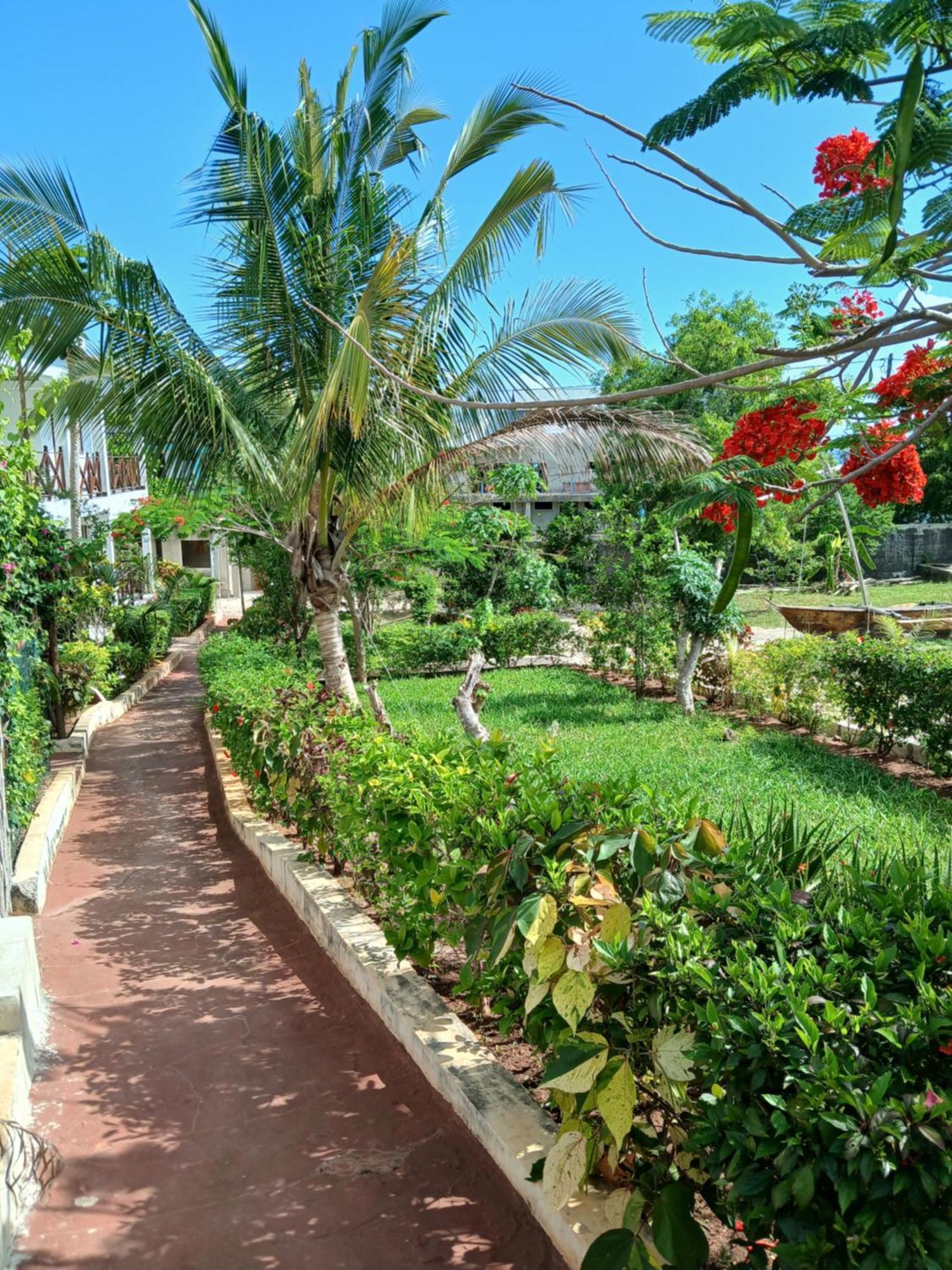 Majani Breeze Villa Nungwi Exterior foto